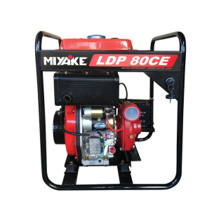 MIYAKE LDP80CE_result